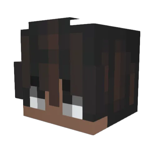 Axcel04 Minecraft avatar head, 3D render