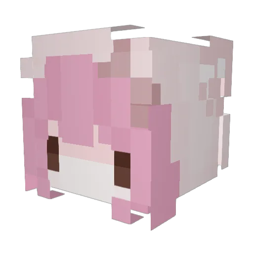 Axd9715 Minecraft avatar head, 3D render