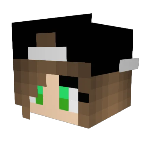 Axe3107 Minecraft avatar head, 3D render