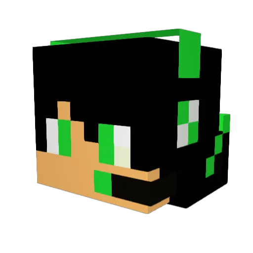 AxeD219 Minecraft avatar head, 3D render