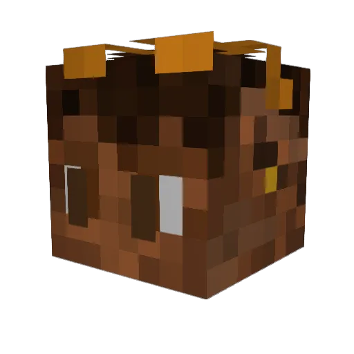 Axeel1998 Minecraft avatar head, 3D render