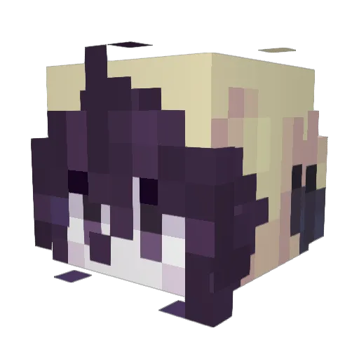 Axel13640 Minecraft avatar head, 3D render
