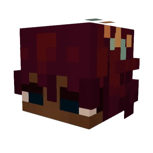 Axelboi_ Minecraft avatar head, 3D render