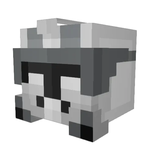 Axelorator Minecraft avatar head, 3D render