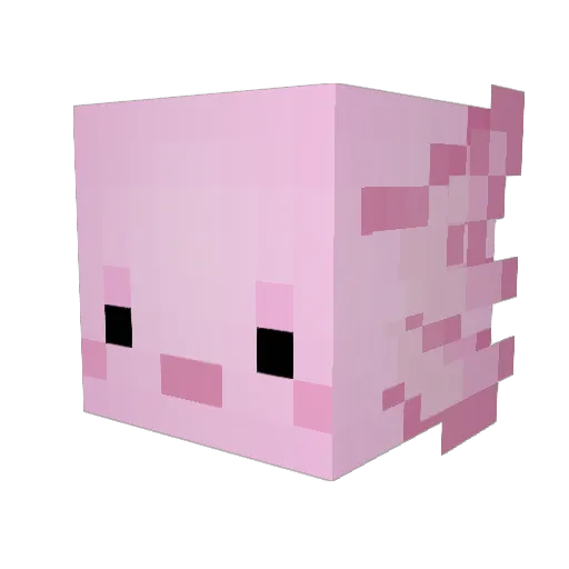 Axeloth_1 Minecraft avatar head, 3D render