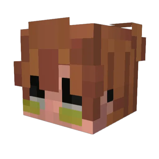 AxiLEs_ Minecraft avatar head, 3D render