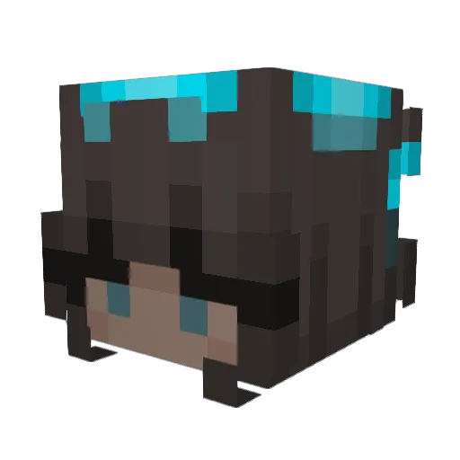 Axieeeeeee Minecraft avatar head, 3D render