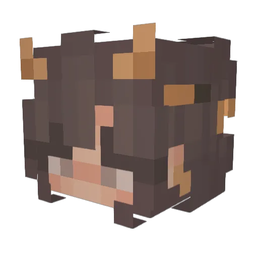 Axilet Minecraft avatar head, 3D render