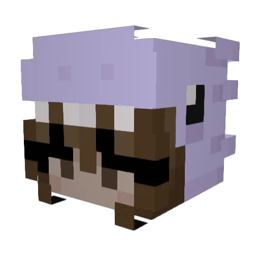 Axiolane Minecraft avatar head, 3D render