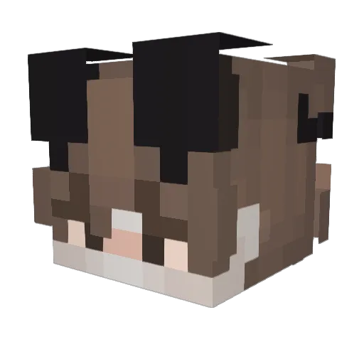 AxiomPro Minecraft avatar head, 3D render