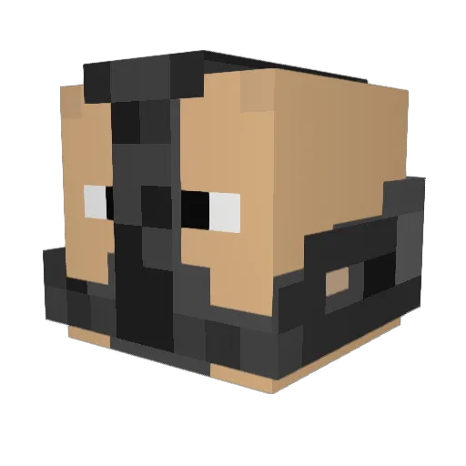 Axion59 Minecraft avatar head, 3D render
