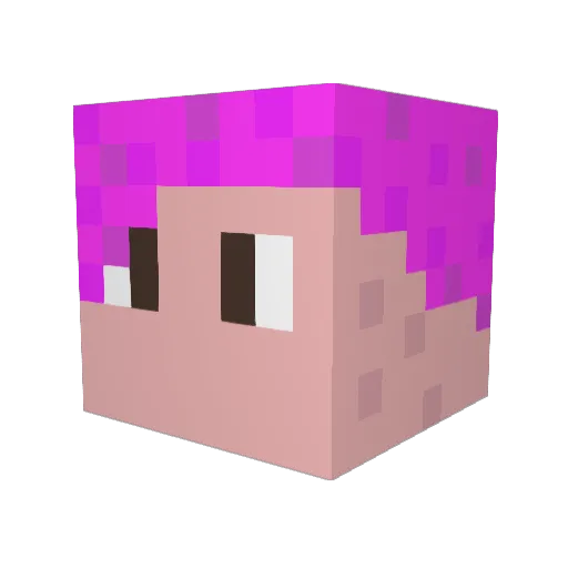 AxisPigman64 Minecraft avatar head, 3D render