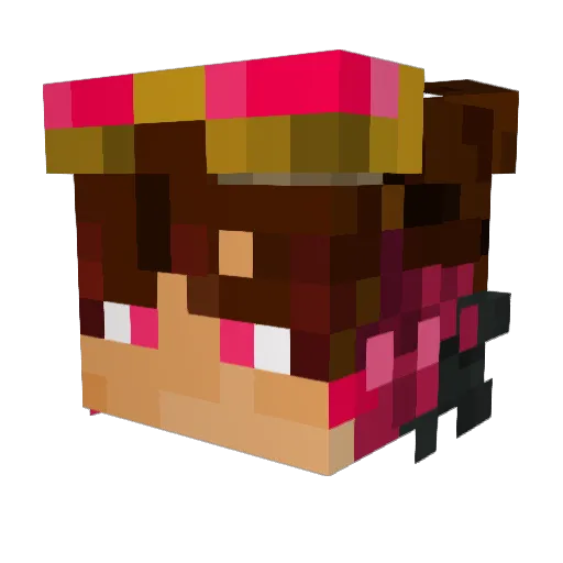 Axispoggers07 Minecraft avatar head, 3D render