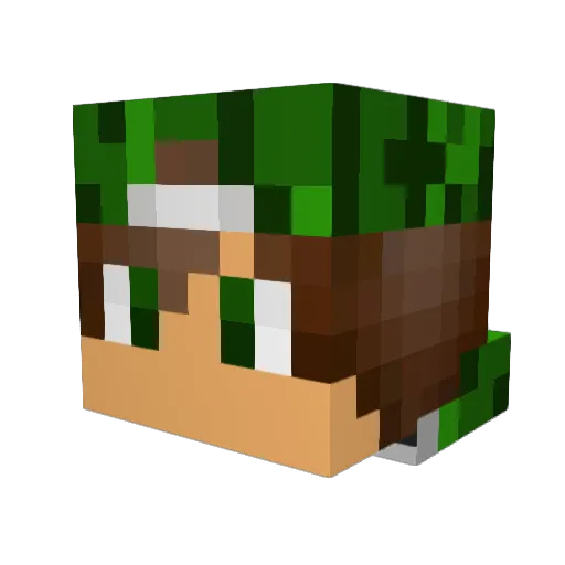 Axl213 Minecraft avatar head, 3D render
