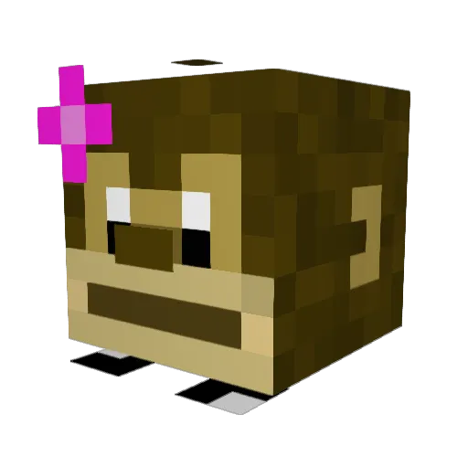 Axlo111 Minecraft avatar head, 3D render