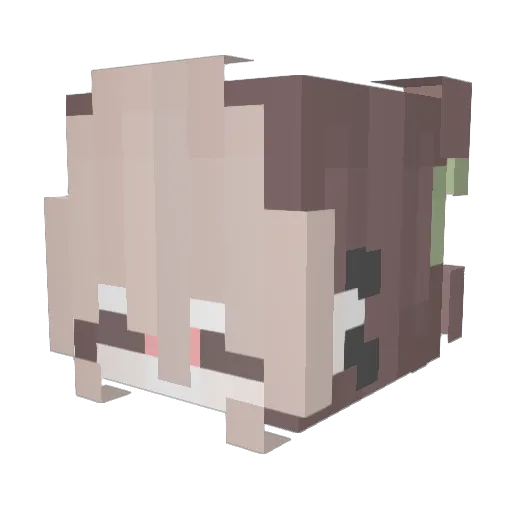 Axnort Minecraft avatar head, 3D render