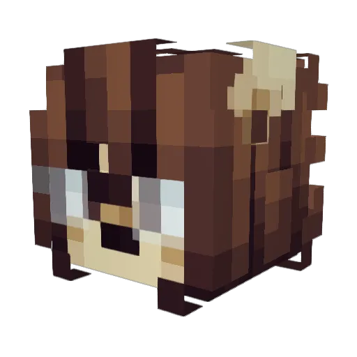 AxoBeet Minecraft avatar head, 3D render