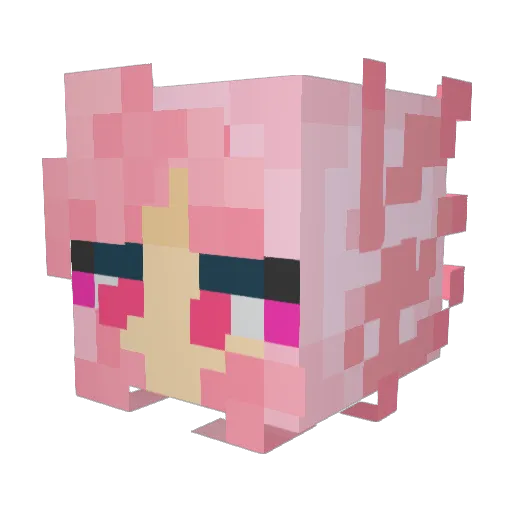 AxoChaos Minecraft avatar head, 3D render