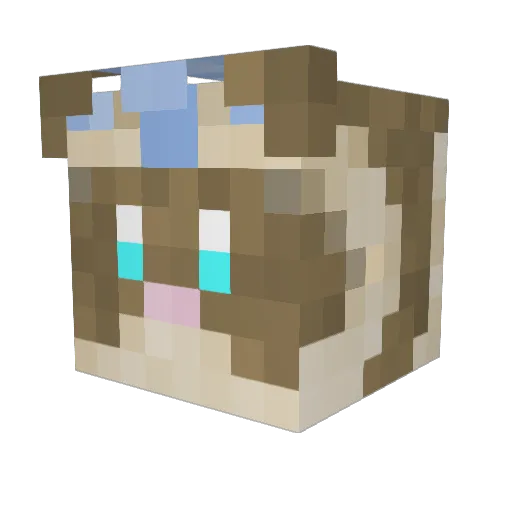 AxoFerret Minecraft avatar head, 3D render