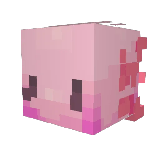 Axo___ Minecraft avatar head, 3D render