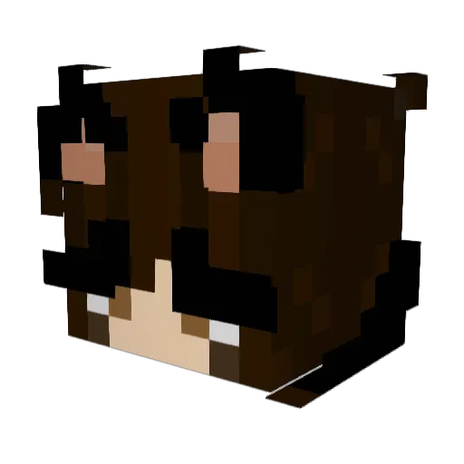 Axobreadloafl Minecraft avatar head, 3D render