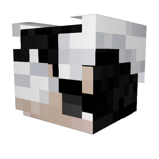 Axodinplayz Minecraft avatar head, 3D render
