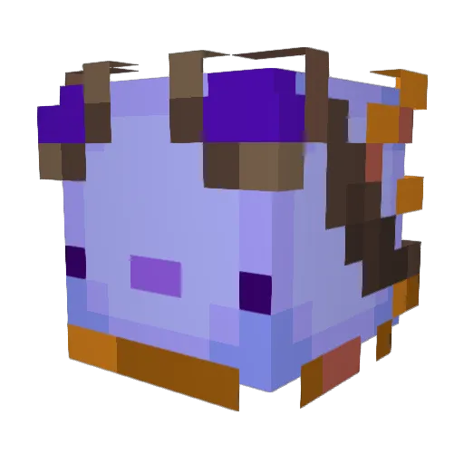 Axol95 Minecraft avatar head, 3D render