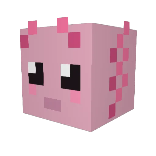 Axoloko Minecraft avatar head, 3D render