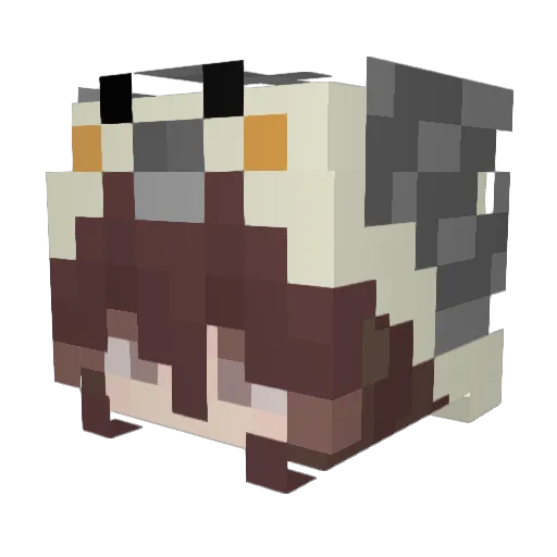 AxolotlBirb Minecraft avatar head, 3D render