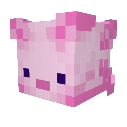 AxolotlKing05 Minecraft avatar head, 3D render