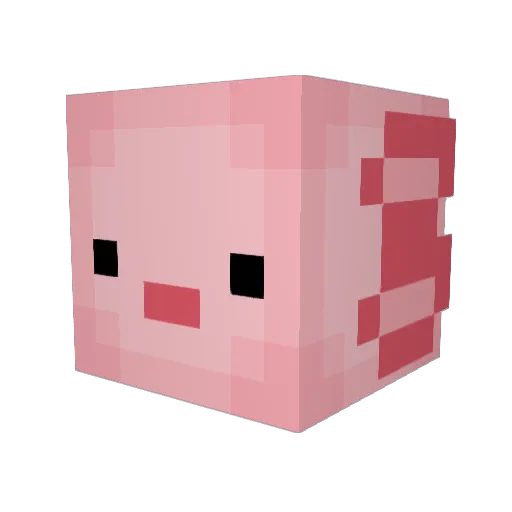 AxolotlKingYT Minecraft avatar head, 3D render
