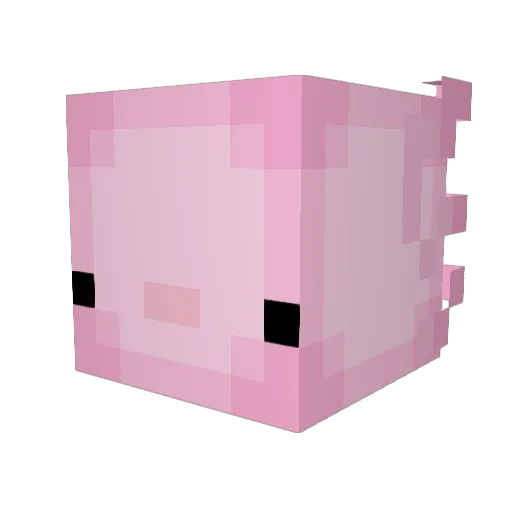 Axolotl_inasuit Minecraft avatar head, 3D render