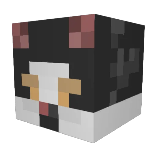 Axolotlz11 Minecraft avatar head, 3D render