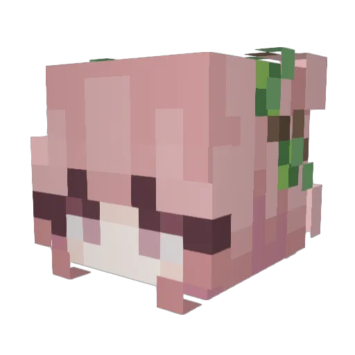Axoura Minecraft avatar head, 3D render