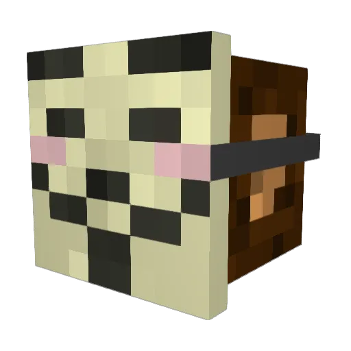 Axowex Minecraft avatar head, 3D render