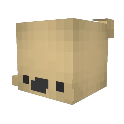 Axrl Minecraft avatar head, 3D render