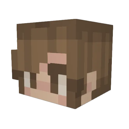 Axus0507 Minecraft avatar head, 3D render