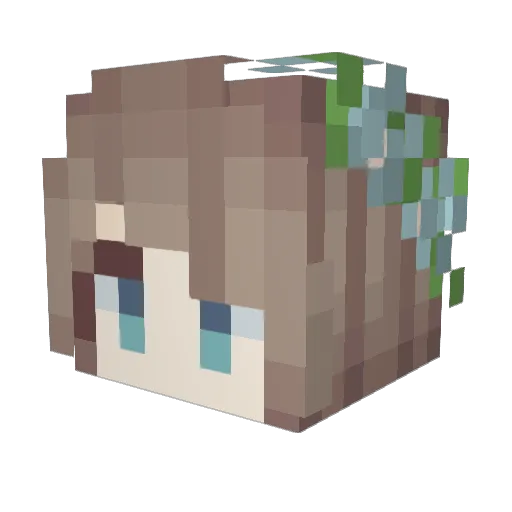 AxwellIngrosso Minecraft avatar head, 3D render