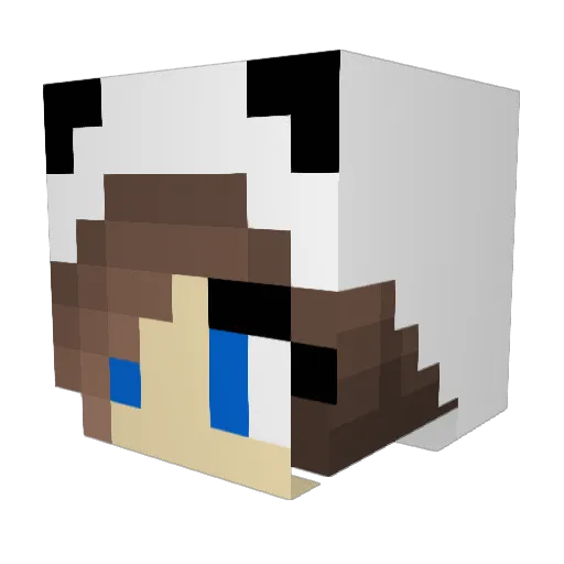 Axxetri Minecraft avatar head, 3D render