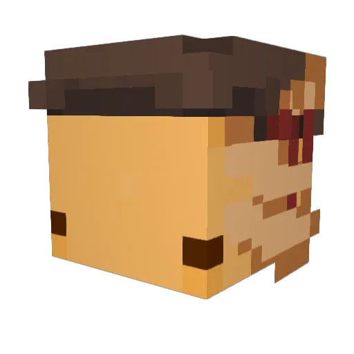 Axxolochi Minecraft avatar head, 3D render