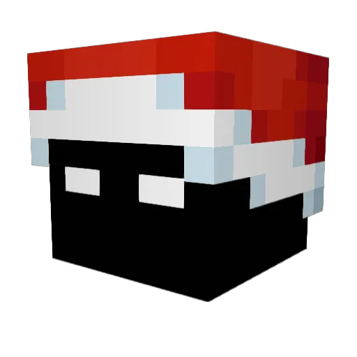 Ay0xD Minecraft avatar head, 3D render