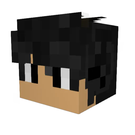 AyCarter Minecraft avatar head, 3D render