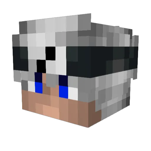 AyKyyyL Minecraft avatar head, 3D render