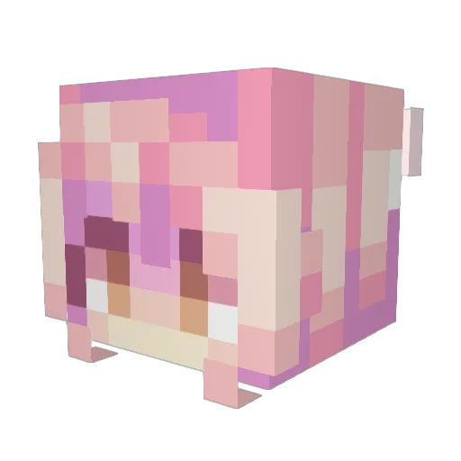 AyaShameimaru Minecraft avatar head, 3D render