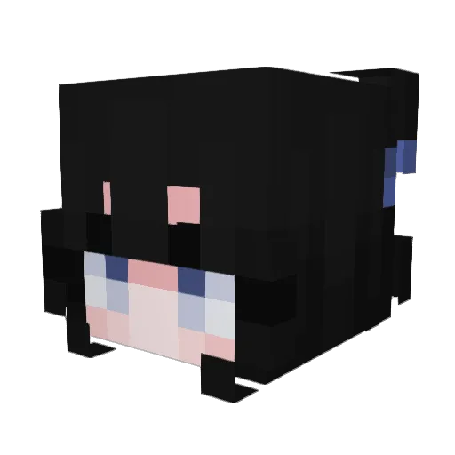 AyaSnacc Minecraft avatar head, 3D render