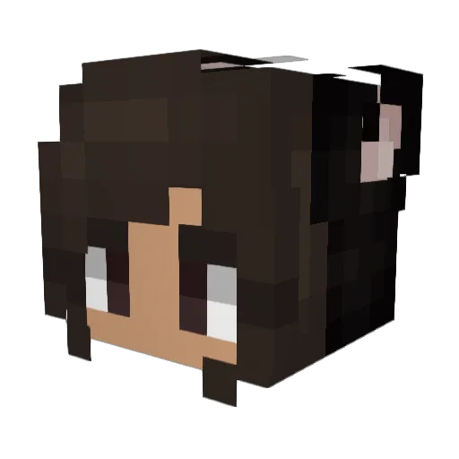 Ayaakaa Minecraft avatar head, 3D render
