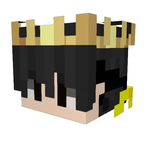 AyaanGamer238 Minecraft avatar head, 3D render