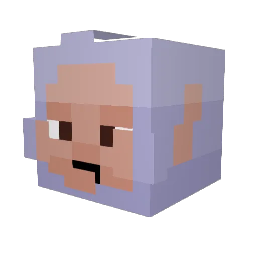 AyaaniK_786 Minecraft avatar head, 3D render