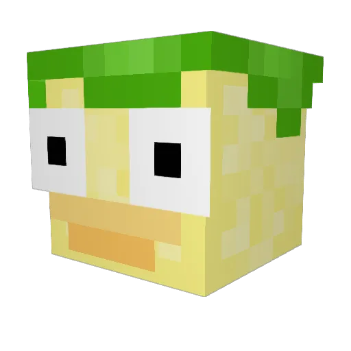 Ayadaphne Minecraft avatar head, 3D render