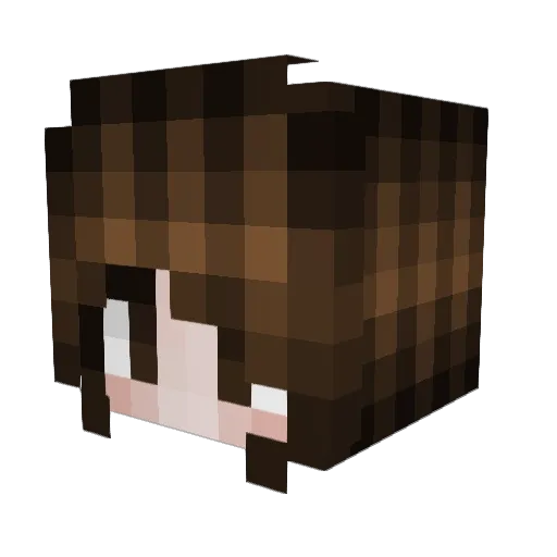 AyakaKami Minecraft avatar head, 3D render